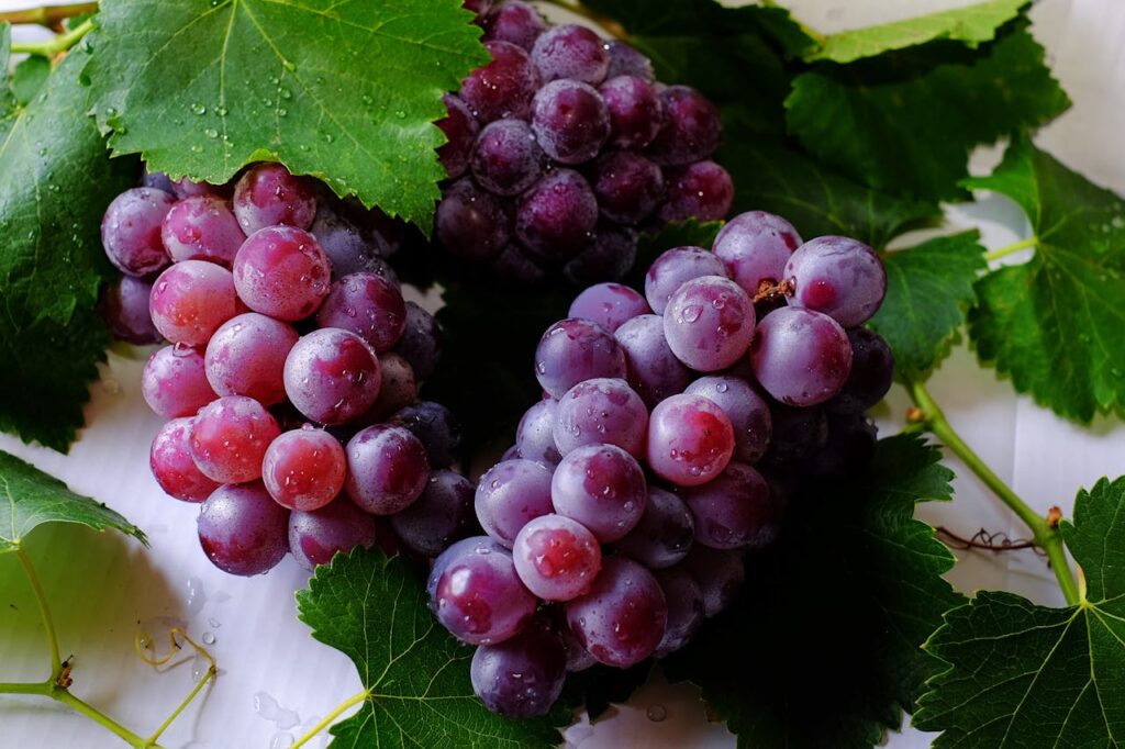 fruitmand bestellen